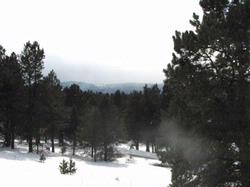 Hidden Lake Lot 75 Mammoth Mountain Road